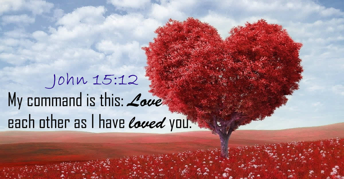 Daily Bible Verse:- John 15:12